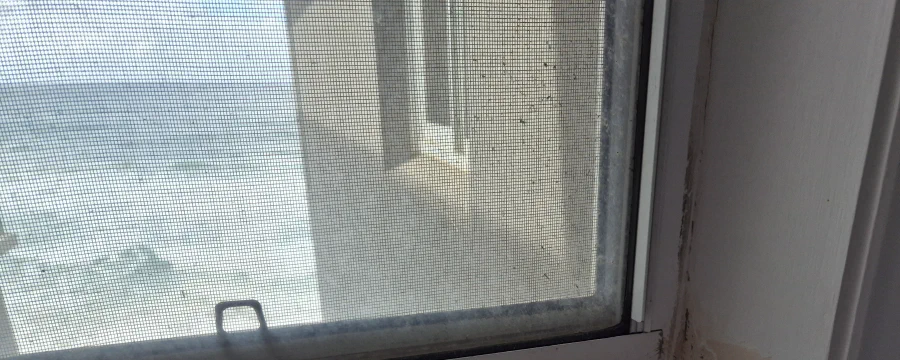 Water damage repair to walls and window frames, The Entrance North