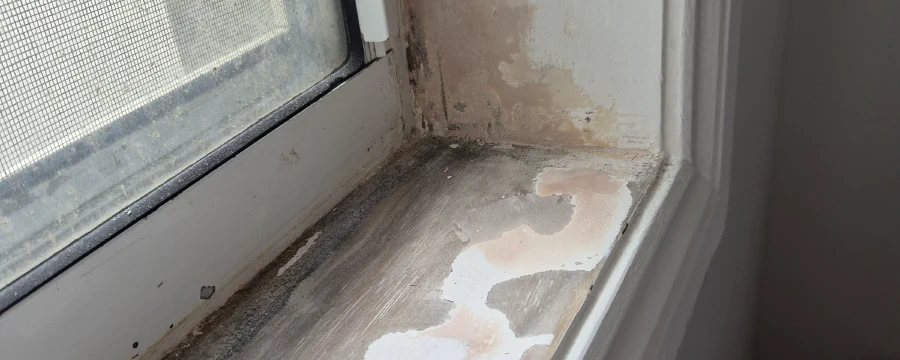 Water damage repair to walls and window frames, The Entrance North