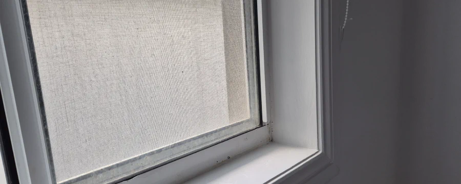 Water damage repair to walls and window frames, The Entrance North